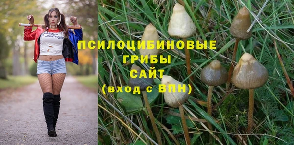 гидропоника Гусиноозёрск