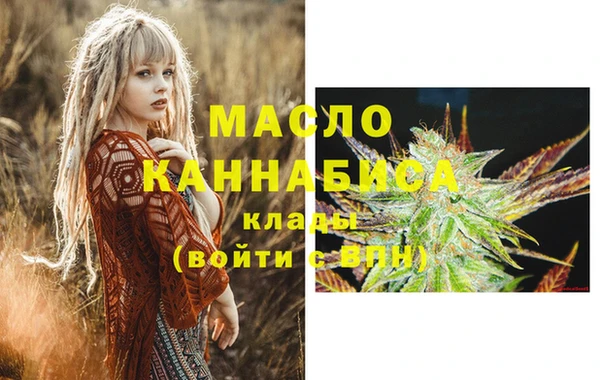 амф Гусь-Хрустальный