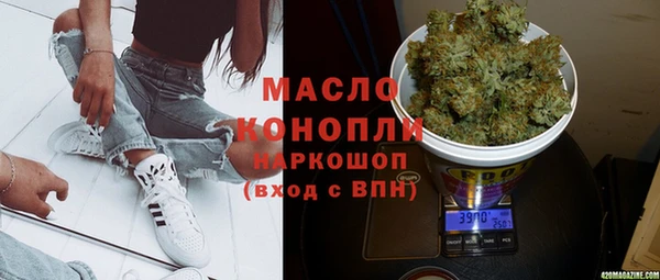 амф Гусь-Хрустальный