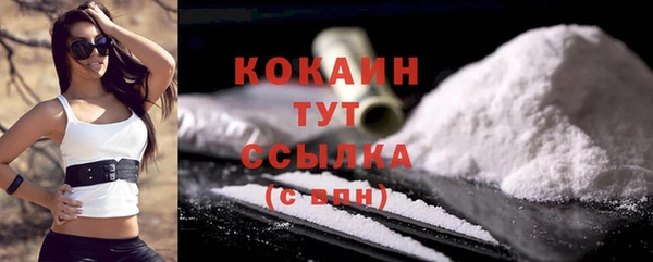 стаф Гусев