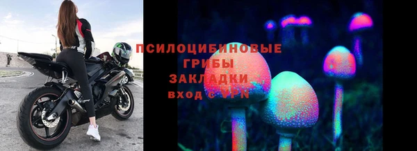 гидропоника Гусиноозёрск