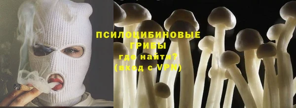 гидропоника Гусиноозёрск