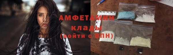 амф Гусь-Хрустальный
