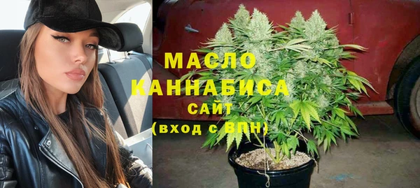 амф Гусь-Хрустальный