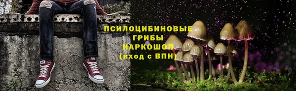 стаф Гусев