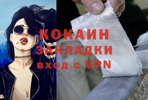 стаф Гусев