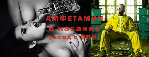 гидра Горнозаводск