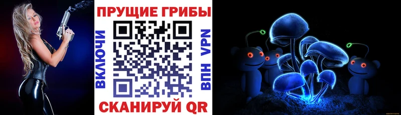 наркота  Сосновка  Псилоцибиновые грибы ЛСД 