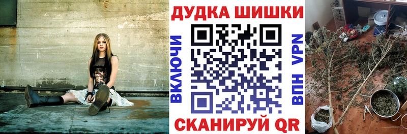 цена наркотик  Сосновка  Каннабис сатива 